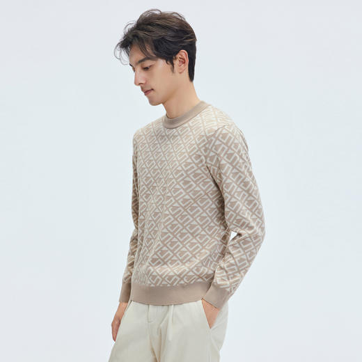 【门店同款&含绵羊毛】圣得西男款2025年冬季毛衫圆领休闲针织衫 商品图2