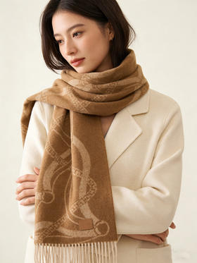 秋冬特惠💰350 爱马仕 巴黎时装展商务男士女士羊毛围巾