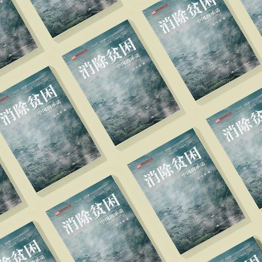 《消除贫困：中国的承诺》 商品图2