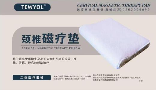 272100TEWYOL颈椎磁疗垫 商品图0