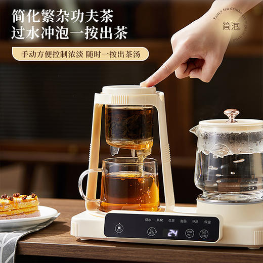 艾贝丽双杯养生壶ABL-YSH624 商品图5