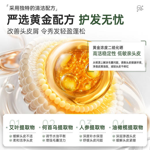 百年扁氏艾草止痒头皮洗发水 商品图4