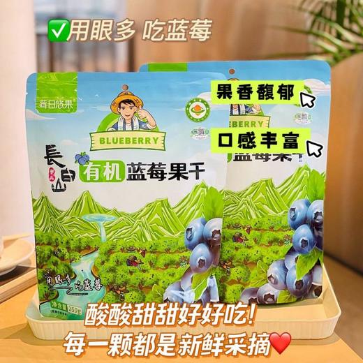 莓日悠果长白山有机蓝莓干250g 商品图0