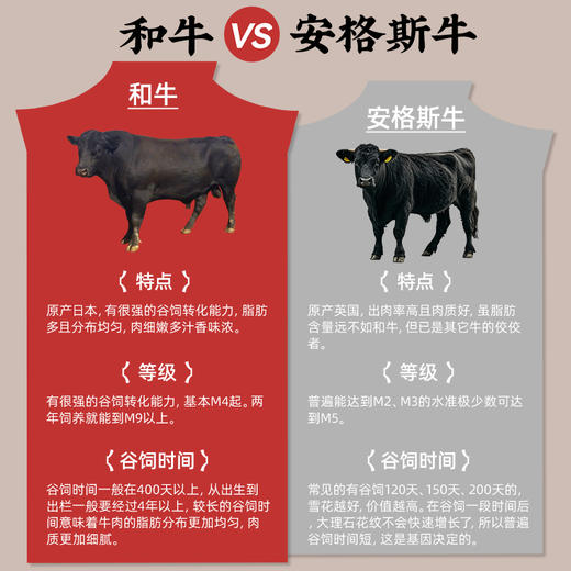 129元任选6件+赠粿条！喜盼牛肉火锅 肥牛/雪花/毛肚/上脑/千层/黄喉 /虾滑/牛肉丸/牛筋丸/鱼丸/鱼豆腐 商品图6