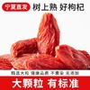 正宗宁夏大颗粒红枸杞250g 树上自然熟 颗颗轻盈饱满 商品缩略图0