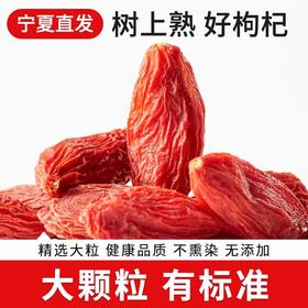 正宗宁夏大颗粒红枸杞250g 树上自然熟 颗颗轻盈饱满
