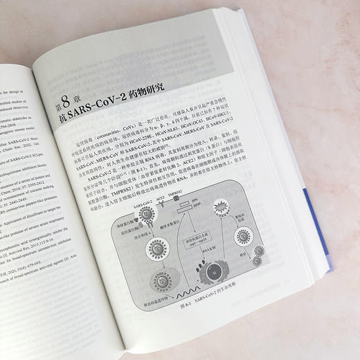 抗病毒药物化学进展 商品图8