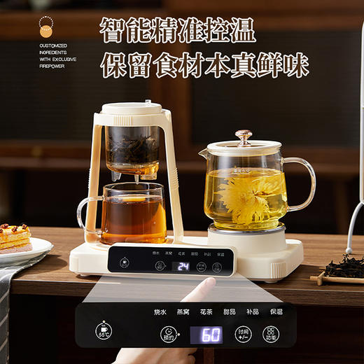 艾贝丽双杯养生壶ABL-YSH624 商品图4