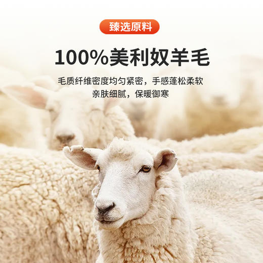 乔沃可机洗空气层羊毛衫｜轻奢保暖，百分百精纺羊毛 商品图4