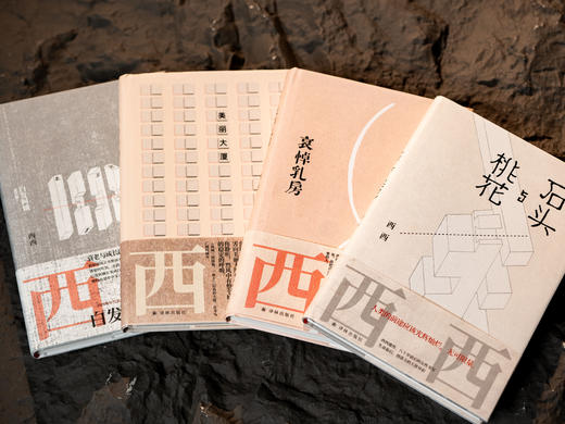 《西西作品集》（精装全4册）|华文世界最有童心的作家，文字真实治愈人心，人生困惑、痛苦、迷茫时，就读一读西西 商品图2