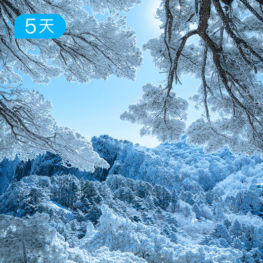 黄山迎新过大年｜25公里轻徒步 徽杭古道+黄山 非遗文化深度体验 5日 商品图1