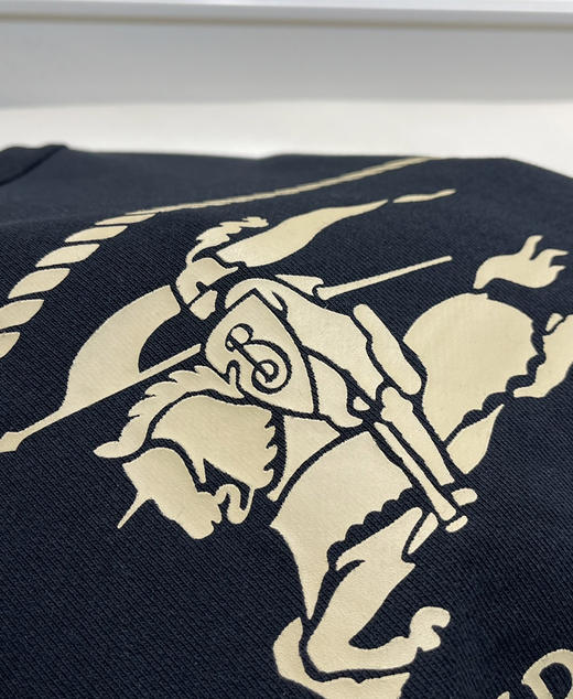 Bur原单就一批战马徽标圆领卫衣122402 商品图5