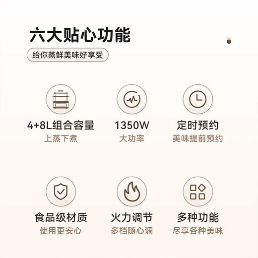 艾贝丽电蒸锅ABL-ZG43 商品图2