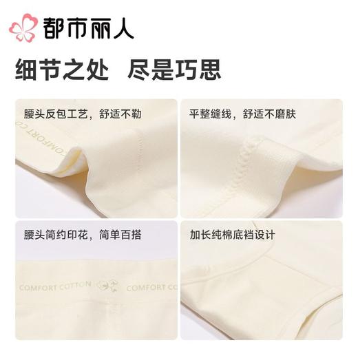 都市丽人内裤红品女士内裤40支棉内裤宽版包覆内裤LKC5I901 商品图3