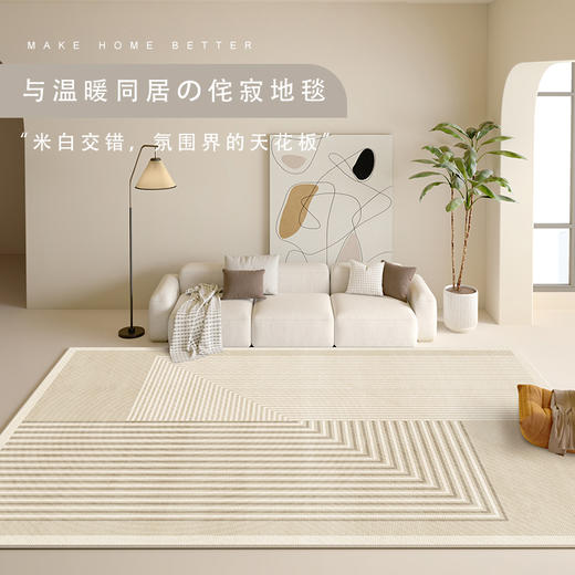 【品牌直发】新款亲肤舒适荷兰绒客厅地毯 多色可选 商品图1