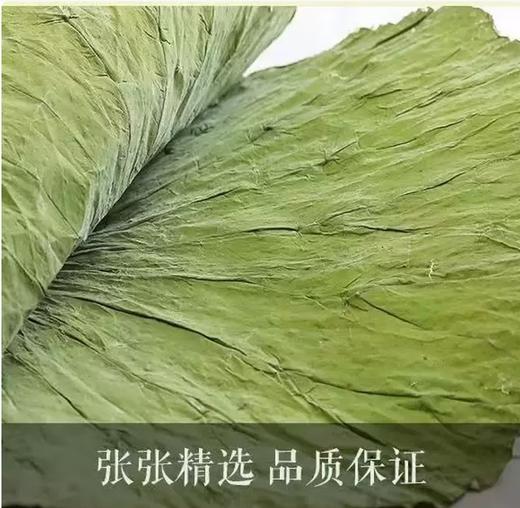 【QT】整张荷叶糯米鸡叫花鸡荷叶鸡荷叶饭专用大片干荷叶切片 商品图1