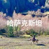【清明】3.28-4.5 | 宝老师：在蒙兀儿斯坦 山花烂漫的季节 商品缩略图0