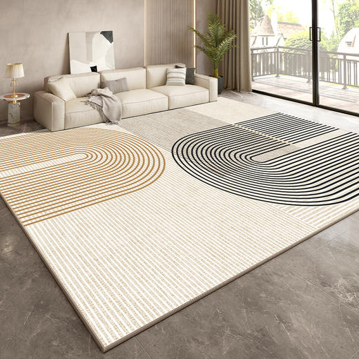 【品牌直发】秋冬水晶绒客厅系列地毯 9色可选yc0108021 商品图4