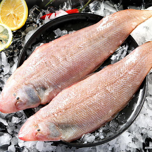 2026澳享新春环球甄选海鲜盛宴 568型 3350g【实物/卡券】 商品图6