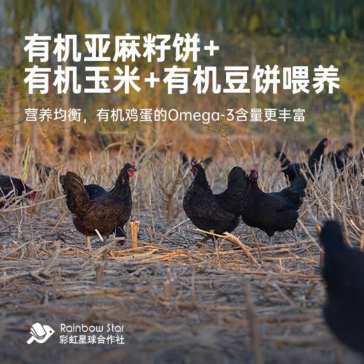 彩虹星球|Omega-3有机鸡蛋 商品图1