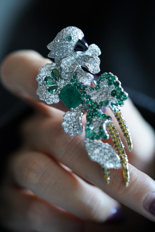 高定胸花绿宝石鹦鹉 商品图2