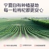 果小凡枸杞原浆 宁夏青海早红晚黑枸杞子鲜汁液 商品缩略图4