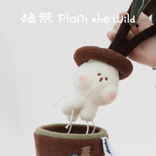 logaloga/B6008/大仙女海芋盆栽摆件 商品图2