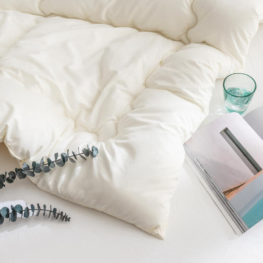 美穗吉家 磨毛纤维冬被6斤 商品图3