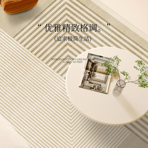 【品牌直发】新款亲肤舒适荷兰绒客厅地毯 多色可选 商品图2