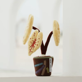 logaloga/B6010/五彩芋彩叶芋盆栽摆件