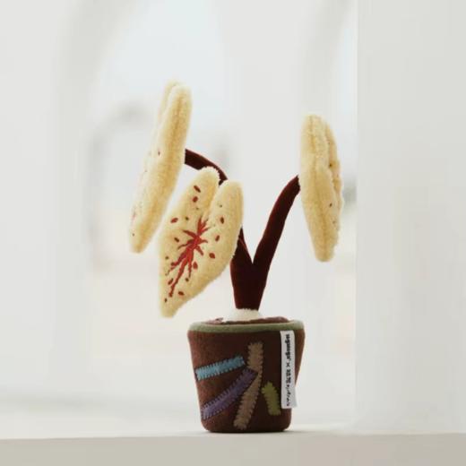 logaloga/B6010/五彩芋彩叶芋盆栽摆件 商品图0