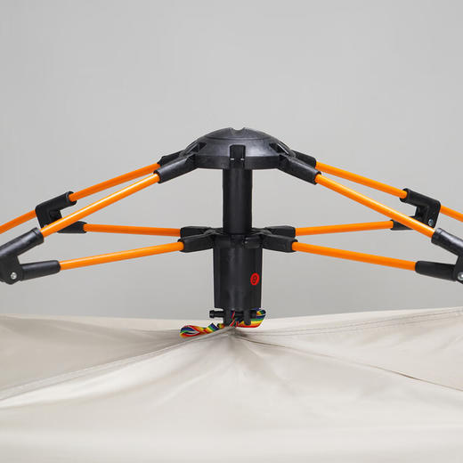 外交官 自动帐篷-米配黑-小号（1-2人）DFJ-111 商品图5