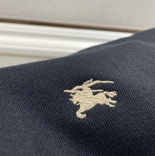 Bur原单就一批战马徽标圆领卫衣122402 商品图10