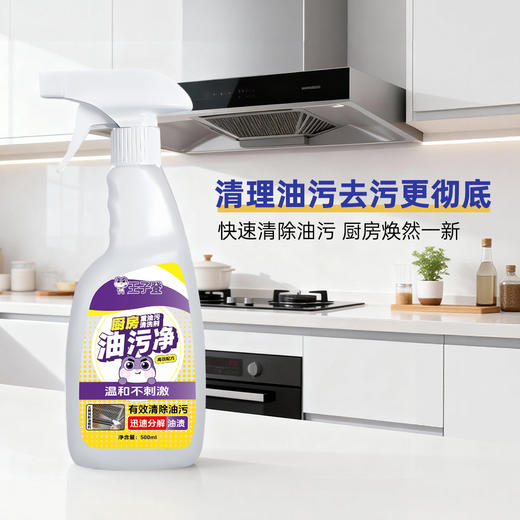 【节后发货】王子登 厨房油污净  500ml 商品图1