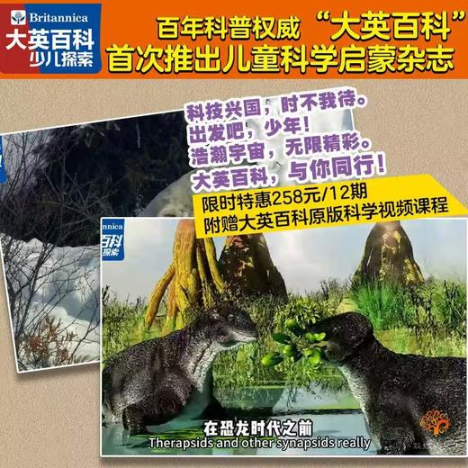 【现货】大英百科少儿探索 26年1月-26年12月(全年共12期)【全年订阅】赠畅销爆款冒险岛数学奇遇记5册+双语科幻手册+12期思维导图+视频 商品图5