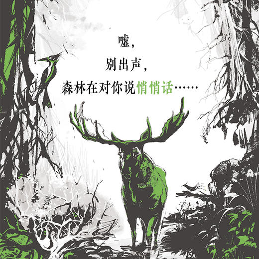 特鲁申·北境森林奇旅系列（3册） 商品图5