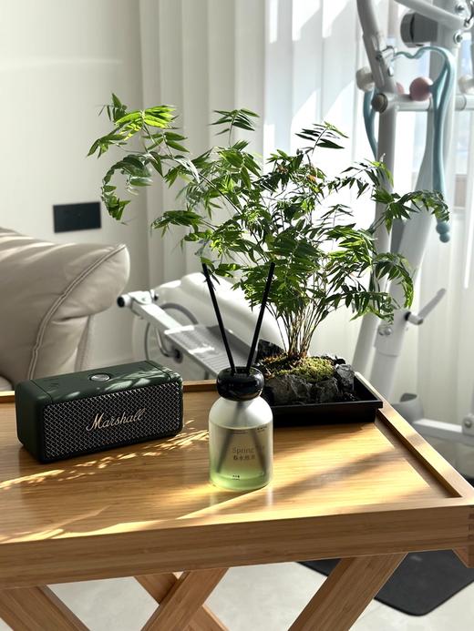 【降温了 用香气给家里升温】寻遇锦绣中华系列无火香薰 植物萃取 自然香气 扩香留香持久 散香除味一步到位 5款香型可选 春节送礼/办公室/书房/客厅/卧室/门店/洗手间 商品图7