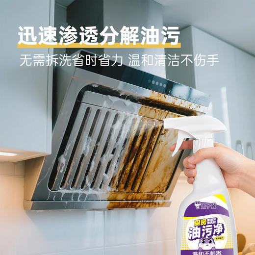 【节后发货】王子登 厨房油污净  500ml 商品图3
