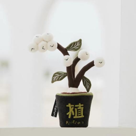 logaloga/B6013/毛核木盆栽摆件 商品图0