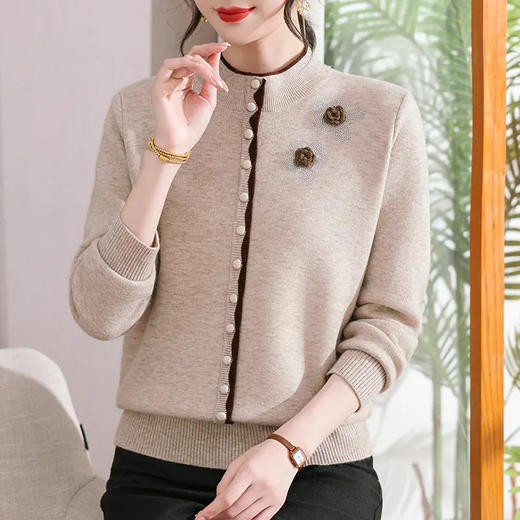 【高级材质面料❗️立体剪裁修饰身形】妈妈装冬装加绒保暖毛衣半高领打底中老年女装冬季必备。jb 商品图1