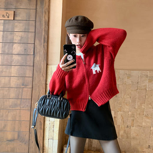 <曾小咸推荐>现货秒杀 ！微信超特价！2色复古卡通绣花毛衣 日常199.99 立减100 秒杀99.99！！ 商品图4