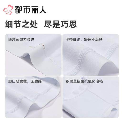 都市丽人内裤红品女士内裤100支棉内裤棉质内裤舒肤棉LKC5G901 商品图3