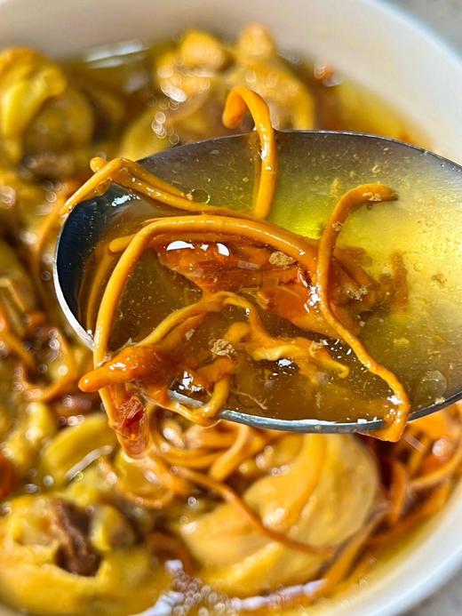 正宗辽宁蛹虫草🍄【黛西农场有机蛹虫草】煲汤一口鲜掉眉毛🔥 药补不如食补！一碗好汤，⁮滋养全家身心 ✅有机更安全!  商品图3