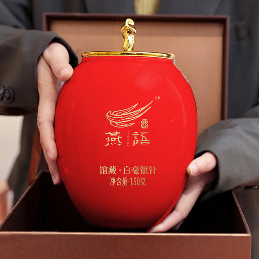 2013燕语白毫银针馆藏版150g 商品图1