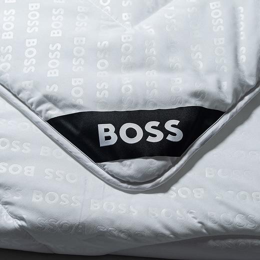 BOSS 新享抗菌被 HBXW-058 200×230cm 商品图4