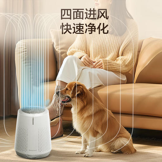 霍尼韦尔（Honeywell）空气净化器 桌面台式家用办公室 除菌粉尘轻音 小型净化器KJ45F-X02 净化器 商品图3