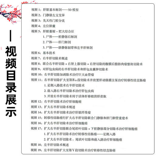 Blumgart视频图集 肝胆胰手术技巧第2二版 曾永毅 本手术视频图谱详细描述了肝脏 胆管和胰腺方面的手术技术等 辽宁科学技术出版社 商品图3