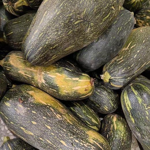 【SF】新鲜老北瓜  含水量高 热量低 饱腹感强 富含膳食纤维 商品图2