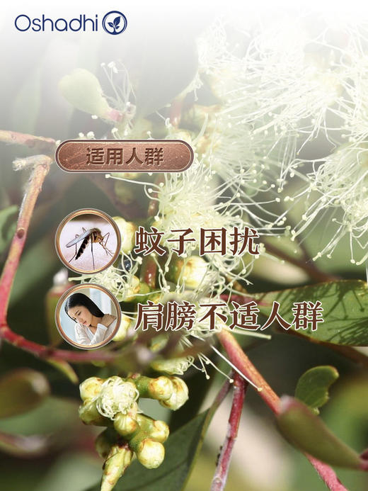 德国O家柠檬桉精油（柠檬尤加利精油）香薰、稀释做按摩油 商品图1