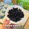 莓日悠果长白山有机蓝莓干250g 商品缩略图3